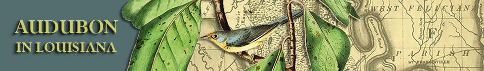 John James Audubon in America Collection